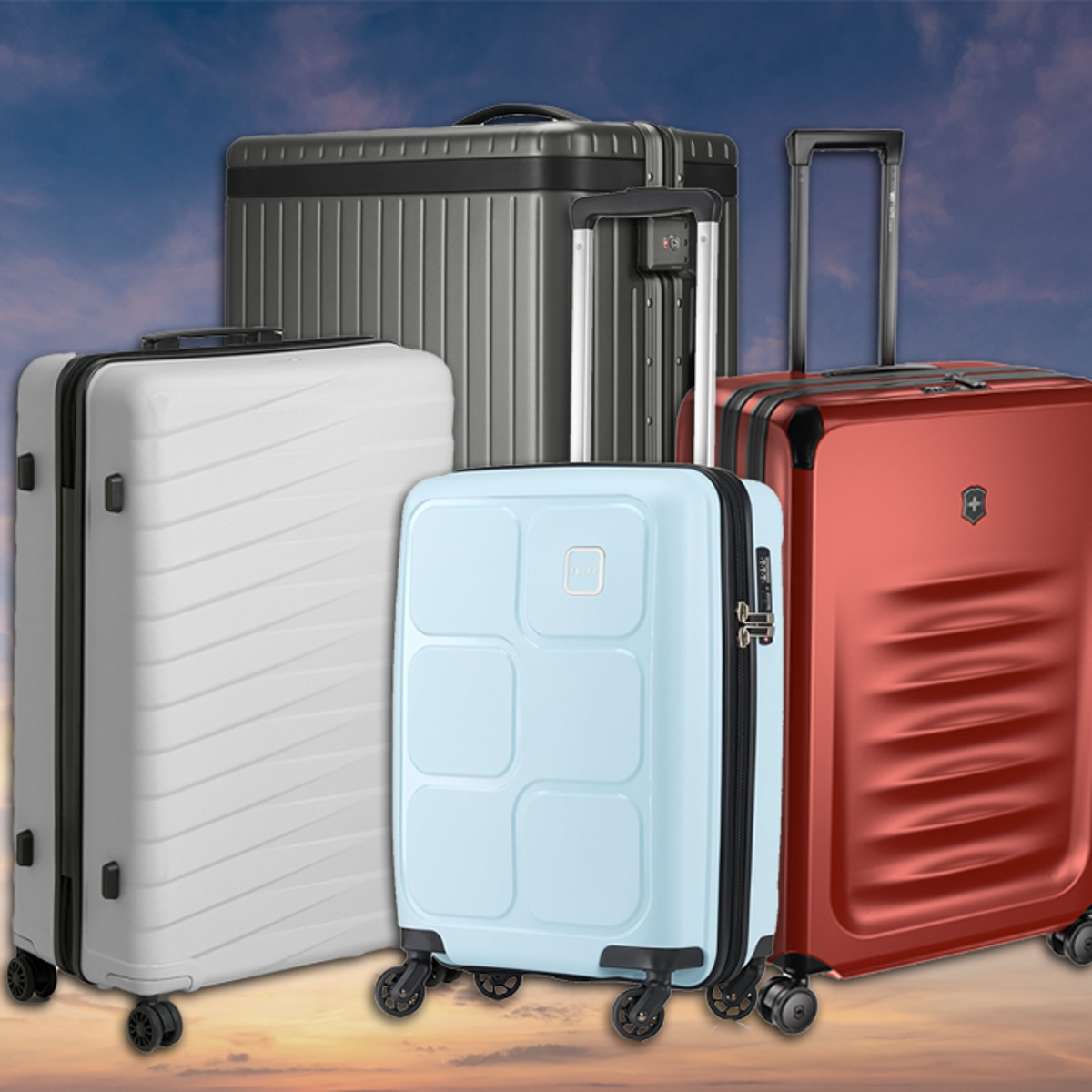 Half price suitcases hotsell